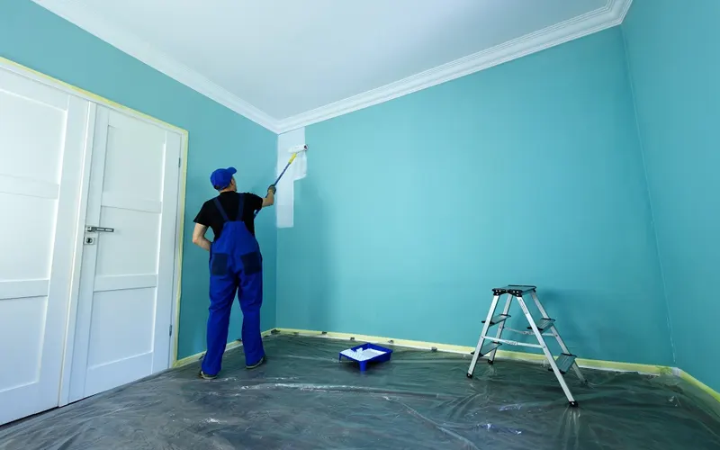 Home Wall Painter And Painting